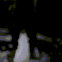 Avatar de AUTISTIC-2