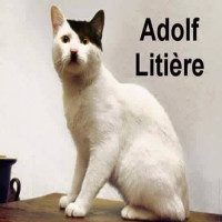 Avatar de AdolfLitiere