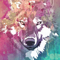 Avatar de Aeoco