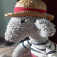 Avatar de AlphonseLeRat