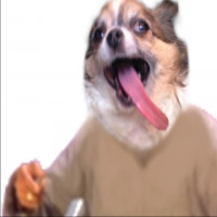 Avatar de AmaisOUI