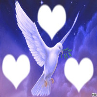 Avatar de Amoure