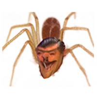 Avatar de Araignee