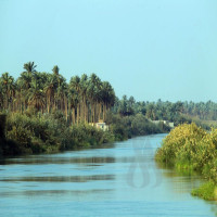 Avatar de ArbreNature