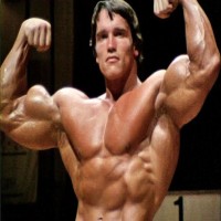 Avatar de Arnold