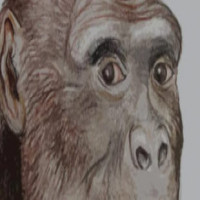 Avatar de Astrukc