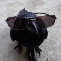 Avatar de AutoBan