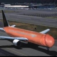 Avatar de Avionaerection