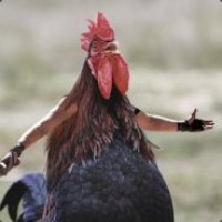 Avatar de BackToZeKitchen