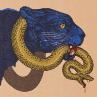 Avatar de Bagheera