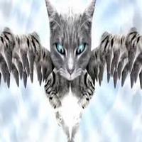 Avatar de Banc