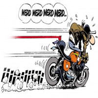 Avatar de Pseudo supprimé