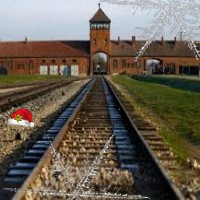 Avatar de Birkenau