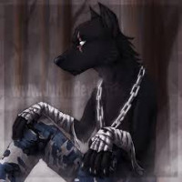 Avatar de BlackWolf