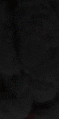 Avatar de Bleu