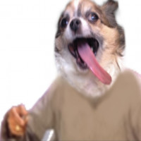 Avatar de Braunstrowma