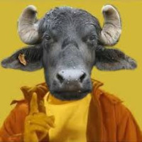 Avatar de Buffleabiffle