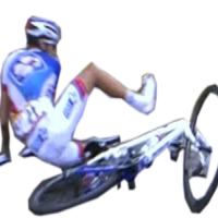 Avatar de CHUTE-DE-PINOT