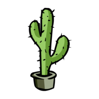 Avatar de Cactus