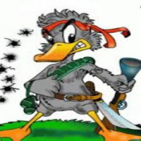 Avatar de Canard