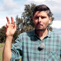 Avatar de Casasnovas