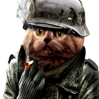 Avatar de Celtissou