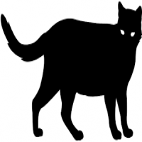 Avatar de ChatonBrutal