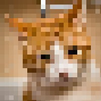 Avatar de ChatteJaponaise