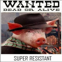 Avatar de CochonPatriote