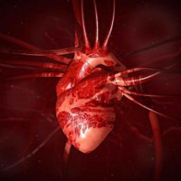 Avatar de Coeur