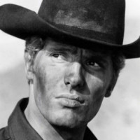 Avatar de Cow-Boy