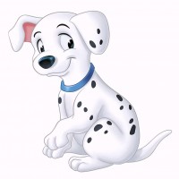 Avatar de Dalmatien