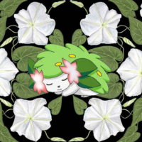 Avatar de Datura