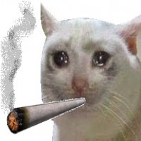 Avatar de DeNerval
