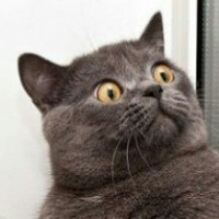 Avatar de Delab911