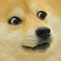 Avatar de Doge
