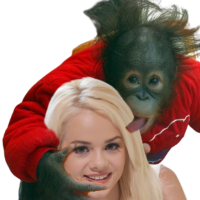 Avatar de Dollardons