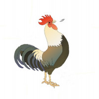 Avatar de EL-GALLO