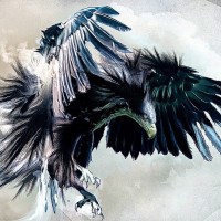 Avatar de EagleOne