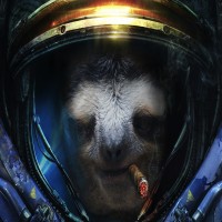 Avatar de ElSlothMaster