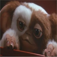 Avatar de Eltomos