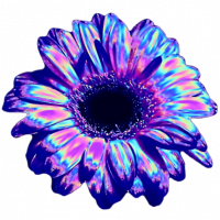 Avatar de Empyree