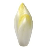 Avatar de Endive