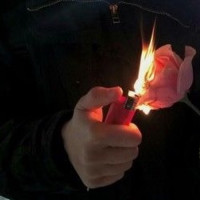 Avatar de Entropie