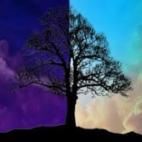 Avatar de Equinox