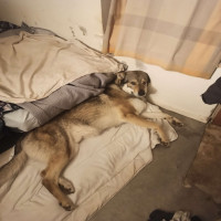 Avatar de FeetAnal
