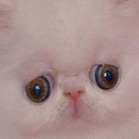 Avatar de Findus2