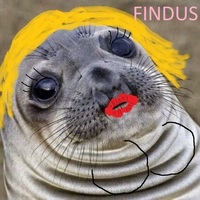 Avatar de Findus3