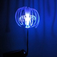 Avatar de Fleur
