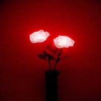 Avatar de Flowersa